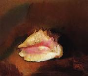 The Shell Odilon Redon